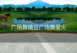 广场舞糖豆广场舞爱火