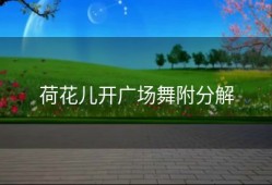 荷花儿开广场舞附分解