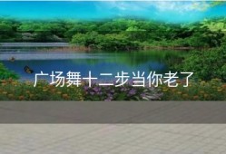 广场舞十二步当你老了