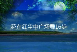 花在红尘中广场舞16步