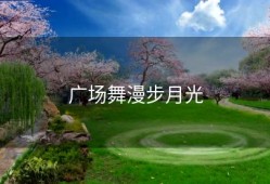 广场舞漫步月光