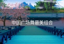 中国广场舞最美组合
