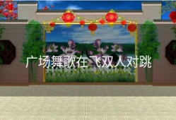 广场舞歌在飞双人对跳