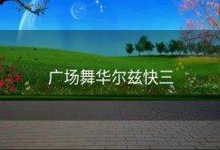 广场舞华尔兹快三