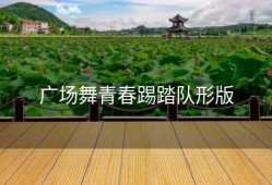 广场舞青春踢踏队形版