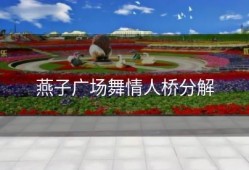 燕子广场舞情人桥分解
