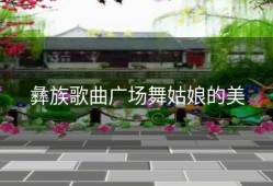 彝族歌曲广场舞姑娘的美