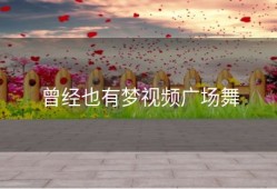 曾经也有梦视频广场舞