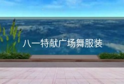 八一特献广场舞服装