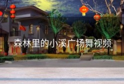 森林里的小溪广场舞视频