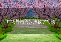 广场舞击剑步法教学视频