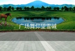 广场舞仰望雪碱