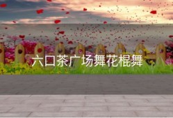 六口茶广场舞花棍舞