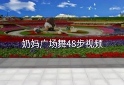 奶妈广场舞48步视频