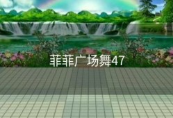 菲菲广场舞47