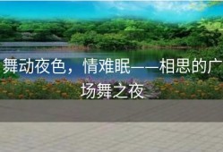 舞动夜色，情难眠——相思的广场舞之夜