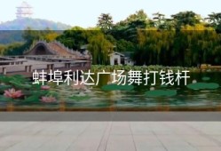 蚌埠利达广场舞打钱杆