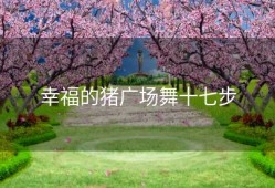 幸福的猪广场舞十七步