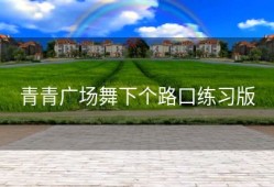 青青广场舞下个路口练习版