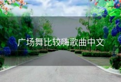 广场舞比较嗨歌曲中文