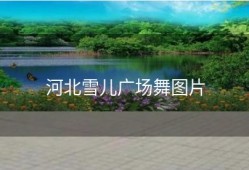 河北雪儿广场舞图片