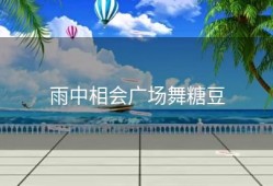 雨中相会广场舞糖豆
