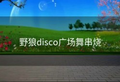 野狼disco广场舞串烧