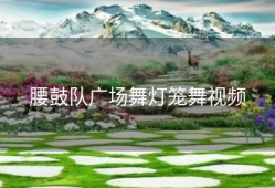 腰鼓队广场舞灯笼舞视频