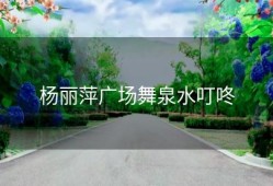 杨丽萍广场舞泉水叮咚