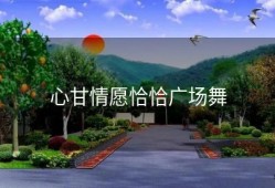 心甘情愿恰恰广场舞
