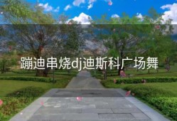 蹦迪串烧dj迪斯科广场舞