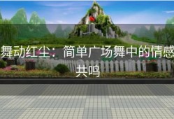 舞动红尘：简单广场舞中的情感共鸣