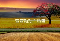 萱萱动动广场舞