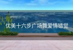 优美十六步广场舞爱情错觉
