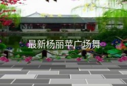 最新杨丽苹广场舞