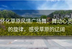 怀化草原风情广场舞：舞动心灵的旋律，感受草原的辽阔