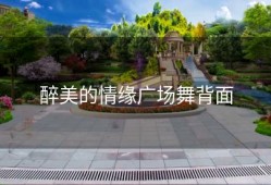 醉美的情缘广场舞背面