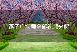 燕子广场舞全部视频分解