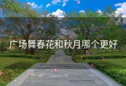 广场舞春花和秋月哪个更好