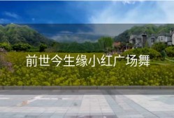 前世今生缘小红广场舞