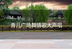 青儿广场舞情歌大声唱