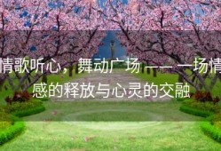 情歌听心，舞动广场 —— 一场情感的释放与心灵的交融