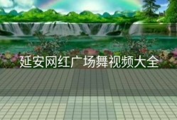 延安网红广场舞视频大全