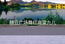 糖豆广场舞红高粱九儿