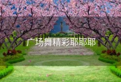 广场舞精彩耶耶耶