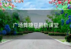 广场舞糖豆最新课堂