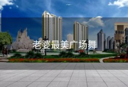 老婆最美广场舞