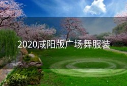 2020咸阳版广场舞服装