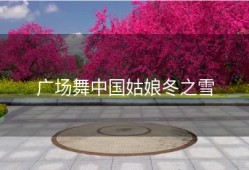 广场舞中国姑娘冬之雪