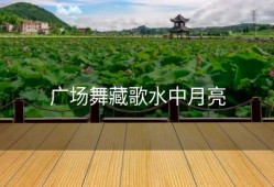 广场舞藏歌水中月亮